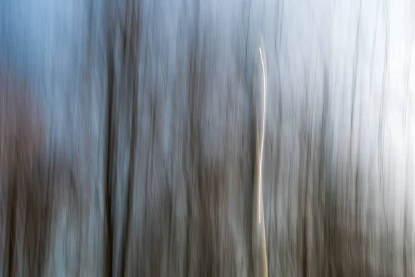 L'astrazione del parco. Lunga esposizione . — Foto Stock