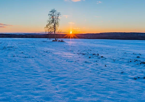 Schöner Wintersonnenuntergang auf Feldern — Stockfoto