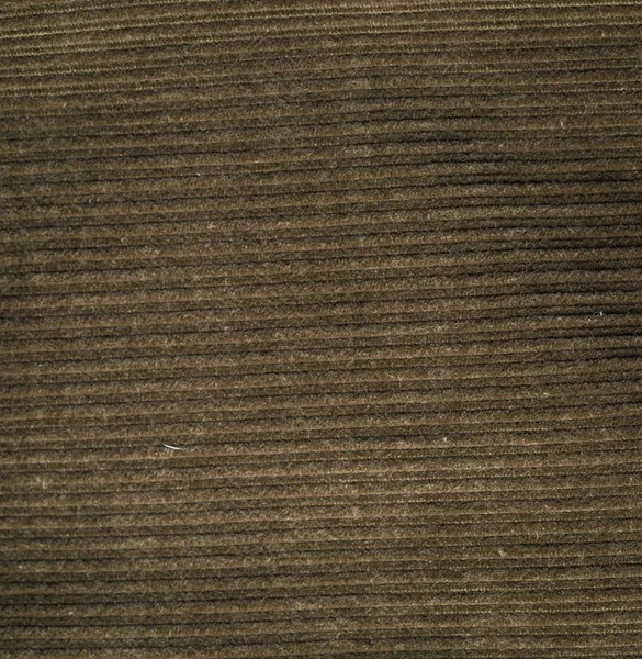 Corduroy background in close up — Stock Photo, Image