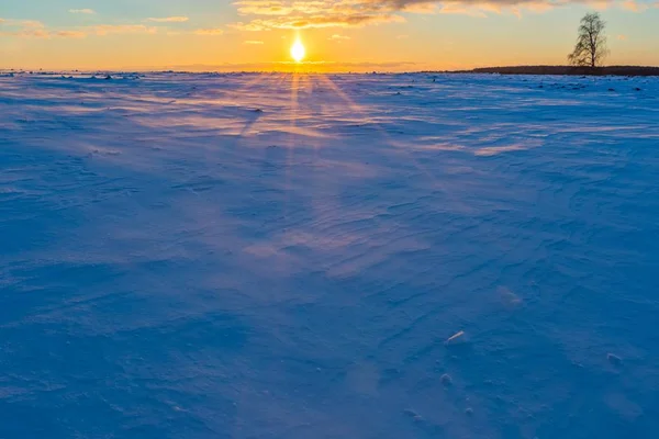 Champs d'hiver coucher de soleil avec neige se déplaçant par le vent — Photo