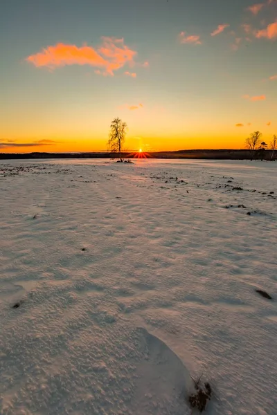 Beautiful winter sunset on fields