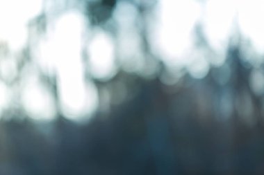 Kış orman bokeh arka plan