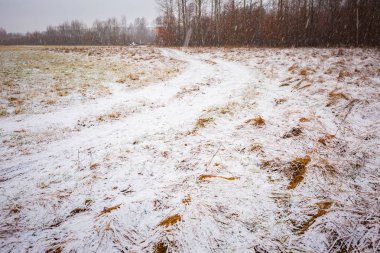 Kötü hava kış çayır manzara