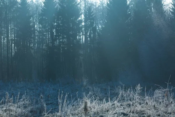 Paisagem rural com geada de inverno — Fotografia de Stock