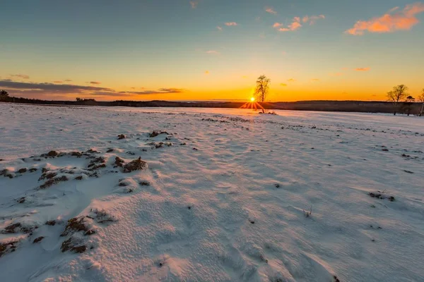 Belo pôr do sol de inverno em campos — Fotografia de Stock