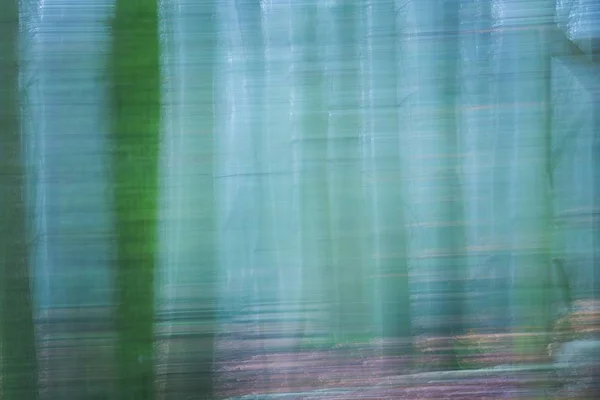 Forest abstrakt suddig bakgrund — Stockfoto