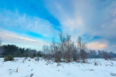 Lehçe tipik kış kırsal manzara
