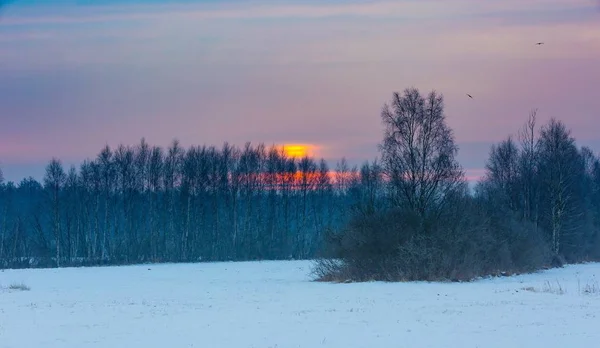 Paysage rural polonais typique d'hiver — Photo