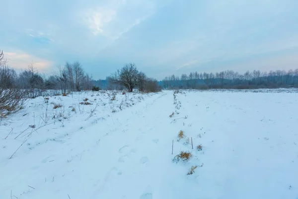 Polonês paisagem rural de inverno típico — Fotografia de Stock
