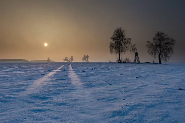 Inverno campi innevati con pelle sollevata e nebbia giorno — Foto Stock
