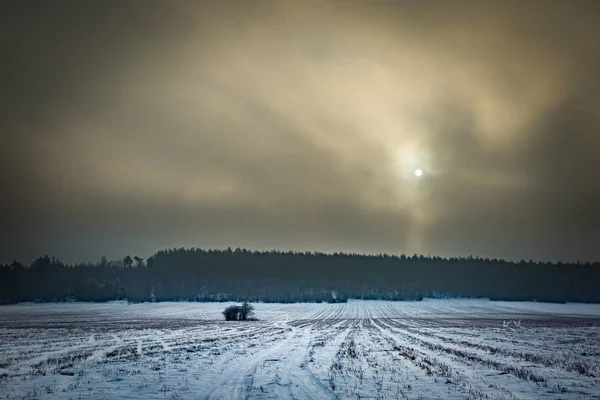 Зимние снежные поля и туманный день — стоковое фото