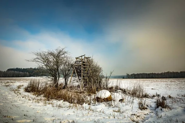 Зимові засніжені поля з піднятим схованим і туманним днем — стокове фото