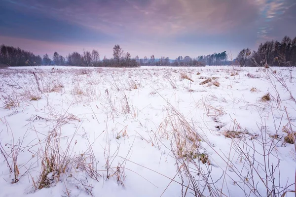 Wiejski krajobraz Polski typowy zimowy — Zdjęcie stockowe