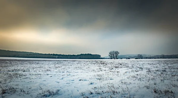 Winter verschneite Felder und nebliger Tag — Stockfoto