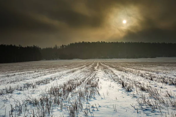 Zimą snowy pola i mglisty dzień — Zdjęcie stockowe