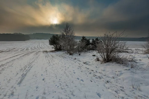 Kışın karlı alanları ve sisli gün — Stok fotoğraf