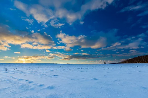 Piękny zimowy zachód słońca na pola — Zdjęcie stockowe