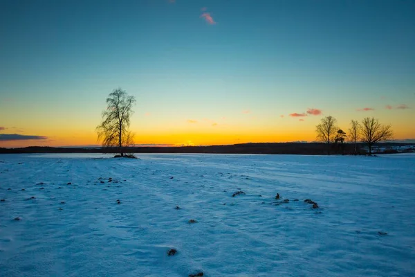 Zachód słońca nad polami snow zima — Zdjęcie stockowe