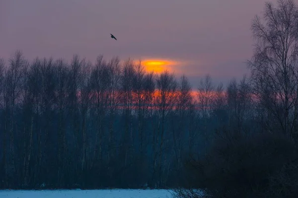 Polska typiska landsbygdens vinterlandskap — Stockfoto