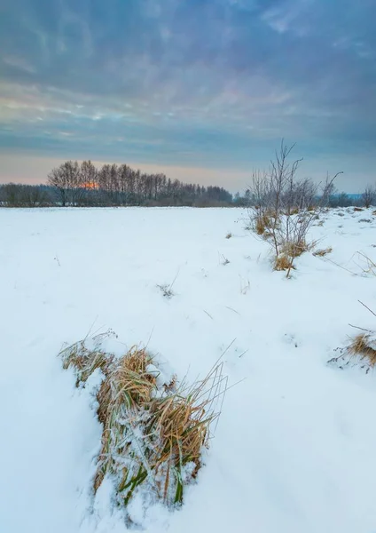 Polnische typische winterliche ländliche Landschaft — Stockfoto