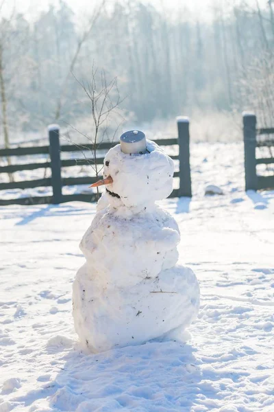 屋外に立っている雪だるま — ストック写真