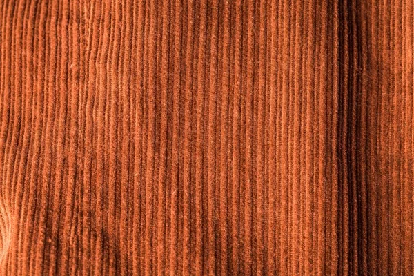 Corduroy background in close up — Stock Photo, Image
