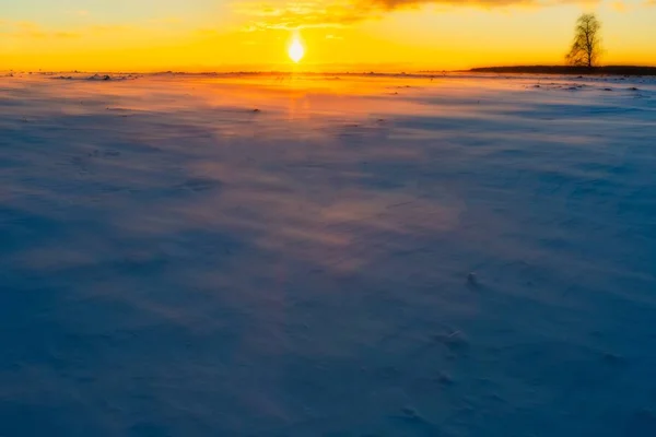 Campos de inverno por do sol com neve movendo-se pelo vento — Fotografia de Stock