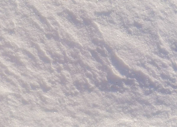 Snow background in close up — Stock Photo, Image