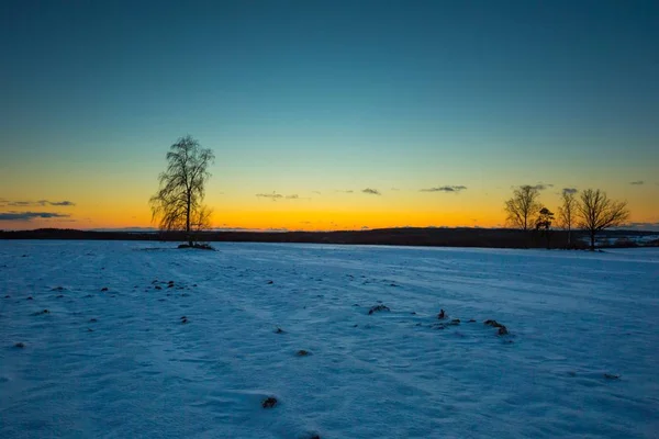 Sonnenuntergang über winterlichen Schneefeldern — Stockfoto