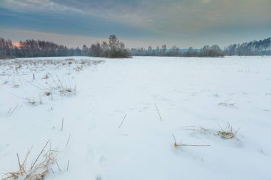 Lehçe tipik kış kırsal manzara