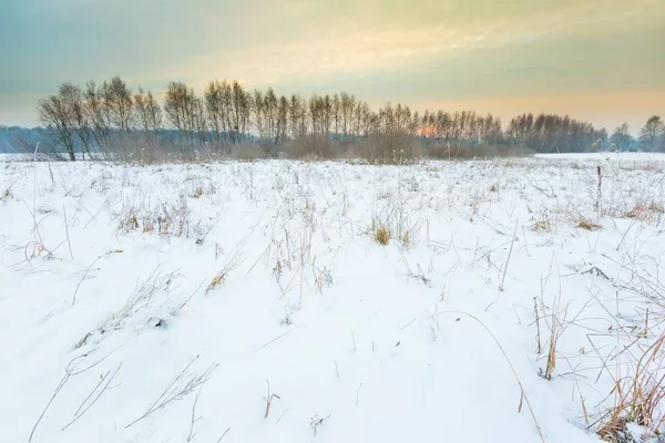 Paesaggio rurale invernale tipico polacco — Foto Stock