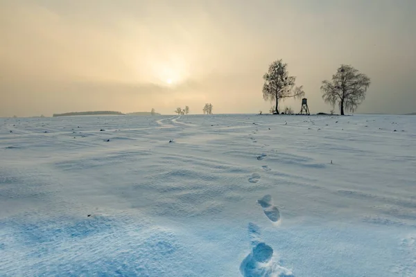 Winter besneeuwde velden en mistige dag — Stockfoto