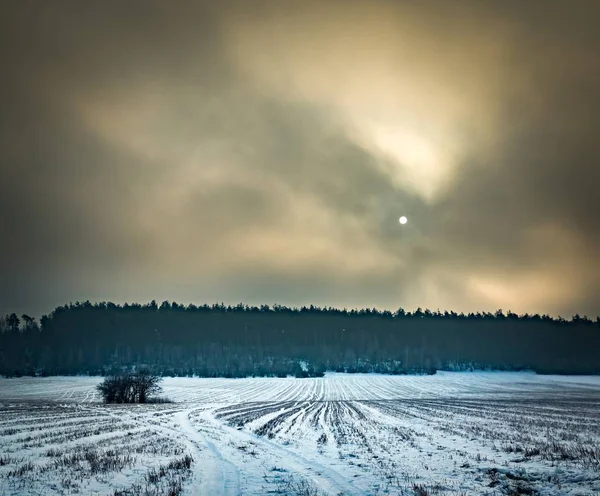 Winter besneeuwde velden en mistige dag — Stockfoto