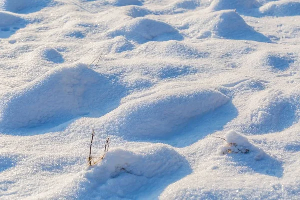 Fondo neve invernale con piante innevate — Foto Stock