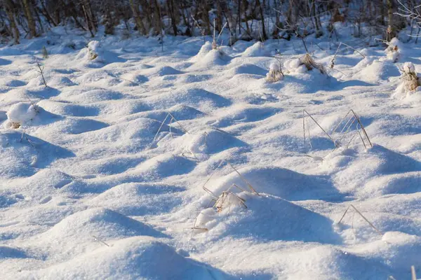 Fondo neve invernale con piante innevate — Foto Stock