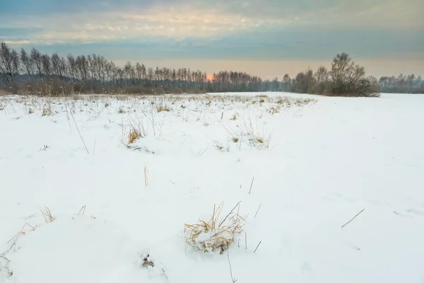 Paesaggio rurale invernale tipico polacco — Foto Stock