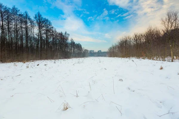 Polish typical winter rural landscape — Stock Photo, Image