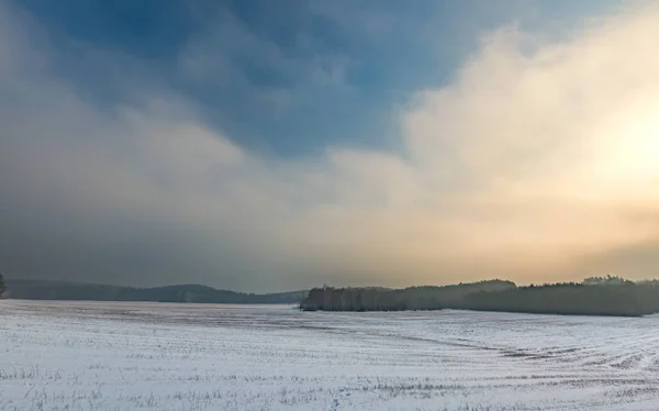 Zimą snowy pola i mglisty dzień — Zdjęcie stockowe