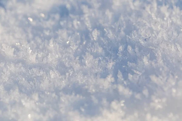 Sneeuwkristallen in grote close-up — Stockfoto