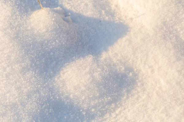 Sfondo neve in primo piano — Foto Stock