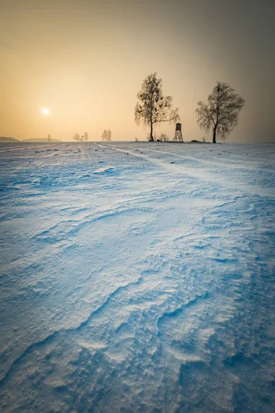 Zimą snowy pola z podniesionym Ukryj i mglisty dzień — Zdjęcie stockowe