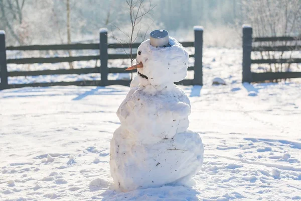 屋外に立っている雪だるま — ストック写真