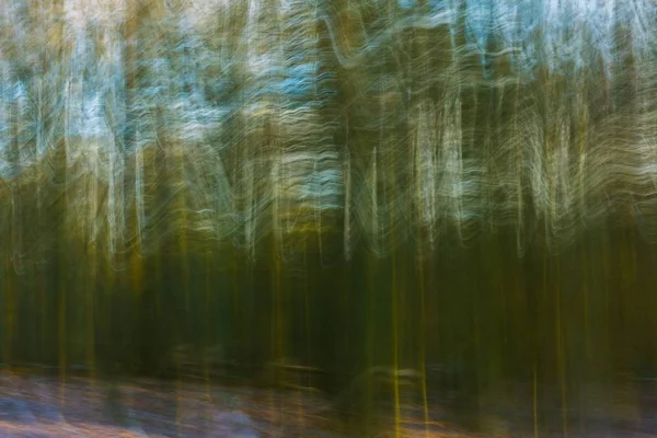 Abstrakta skog foto — Stockfoto