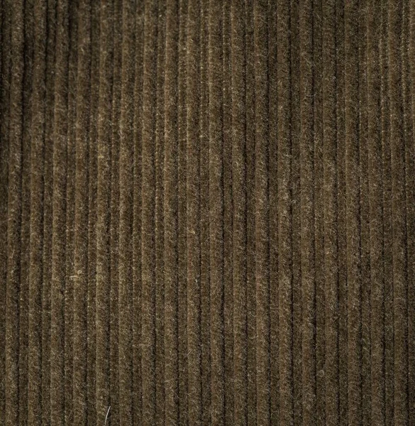 Corduroy background in close up — Stock Photo, Image