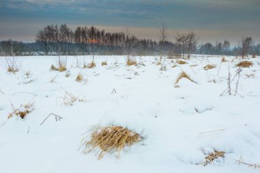 Lehçe tipik kış kırsal manzara