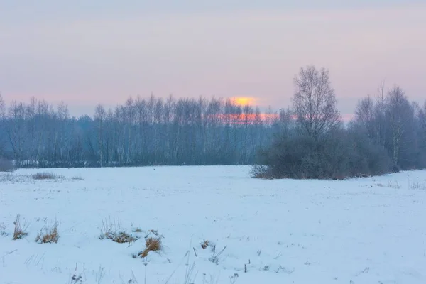 ポーランドの典型的な冬の農村風景 — ストック写真