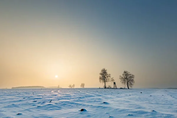 Winter besneeuwde velden met verhoogde verbergen en mistige dag — Stockfoto