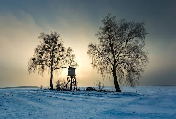 Campos nevados de inverno com couro levantado e dia nebuloso — Fotografia de Stock