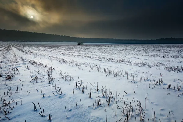 Zimą snowy pola i mglisty dzień — Zdjęcie stockowe