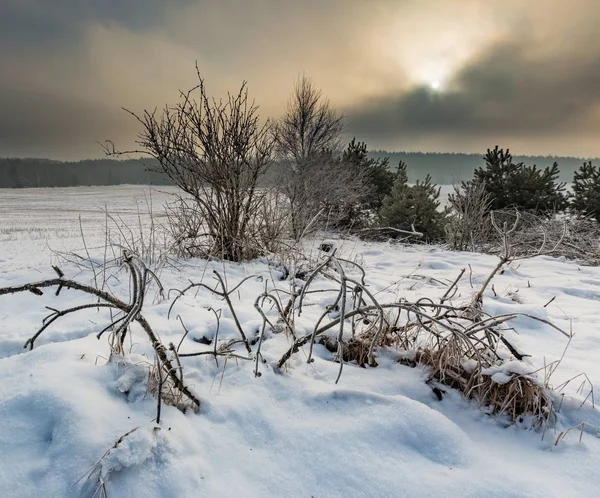 ポーランドの典型的な冬の農村風景 — ストック写真